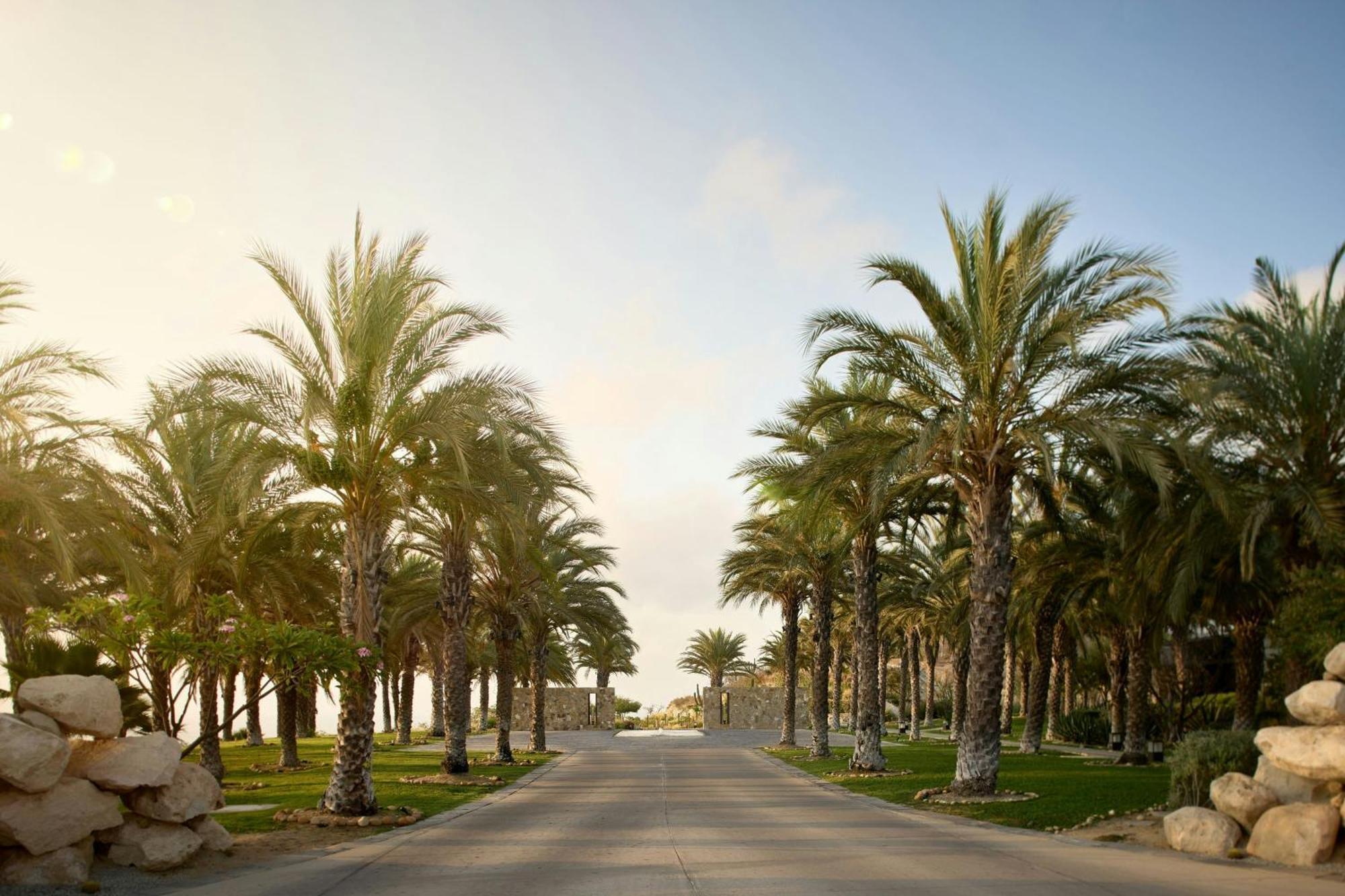 Zadun, A Ritz-Carlton Reserve San José del Cabo Eksteriør bilde