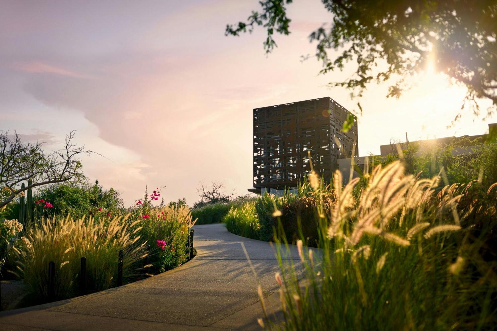 Zadun, A Ritz-Carlton Reserve San José del Cabo Eksteriør bilde
